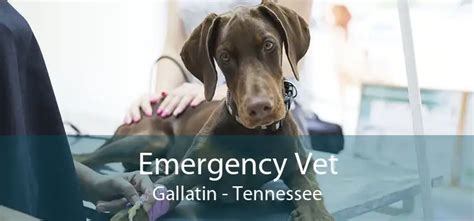 emergency vet gallatin tn